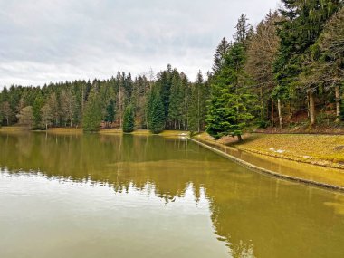Sihl, Schonenberg (Schoenenenberg) kanyonu üzerinde Teufenbachweier gölü veya Teifebachweiher göleti - Zuerich Kantonu (veya Zürih), İsviçre / Schweiz