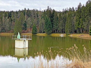 Sihl, Schonenberg (Schoenenenberg) kanyonu üzerinde Teufenbachweier gölü veya Teifebachweiher göleti - Zuerich Kantonu (veya Zürih), İsviçre / Schweiz
