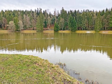 Sihl, Schonenberg (Schoenenenberg) kanyonu üzerinde Teufenbachweier gölü veya Teifebachweiher göleti - Zuerich Kantonu (veya Zürih), İsviçre / Schweiz