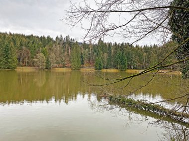 Sihl, Schonenberg (Schoenenenberg) kanyonu üzerinde Teufenbachweier gölü veya Teifebachweiher göleti - Zuerich Kantonu (veya Zürih), İsviçre / Schweiz