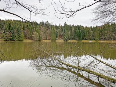 Sihl, Schonenberg (Schoenenenberg) kanyonu üzerinde Teufenbachweier gölü veya Teifebachweiher göleti - Zuerich Kantonu (veya Zürih), İsviçre / Schweiz