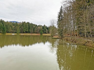 Sihl, Schonenberg (Schoenenenberg) kanyonu üzerinde Teufenbachweier gölü veya Teifebachweiher göleti - Zuerich Kantonu (veya Zürih), İsviçre / Schweiz