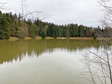 Sihl, Schonenberg (Schoenenenberg) kanyonu üzerinde Teufenbachweier gölü veya Teifebachweiher göleti - Zuerich Kantonu (veya Zürih), İsviçre / Schweiz