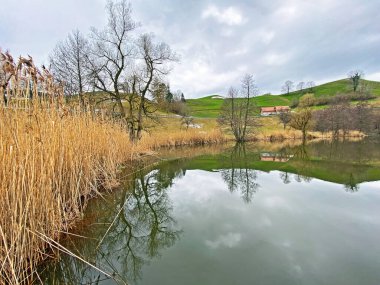 Kış sonu ve ilkbaharın başlarında Wilersee ya da Wiler Gölü 'nde Sihl, Menzingen kanyonunun yukarısındaki Zug Kantonu, İsviçre / Schweiz