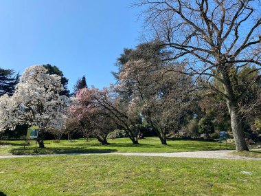 Cenevre Şehri Konservatuarı ve Botanik Bahçesi (Konservatuar et Jardin Botaniques de la Ville de Geneve) Konservatuvar und Botanischer Garten Chambesy, Genf - İsviçre (Suisse)