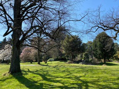 Cenevre Şehri Konservatuarı ve Botanik Bahçesi (Konservatuar et Jardin Botaniques de la Ville de Geneve) Konservatuvar und Botanischer Garten Chambesy, Genf - İsviçre (Suisse)