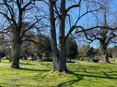 Cenevre Şehri Konservatuarı ve Botanik Bahçesi (Konservatuar et Jardin Botaniques de la Ville de Geneve) Konservatuvar und Botanischer Garten Chambesy, Genf - İsviçre (Suisse)