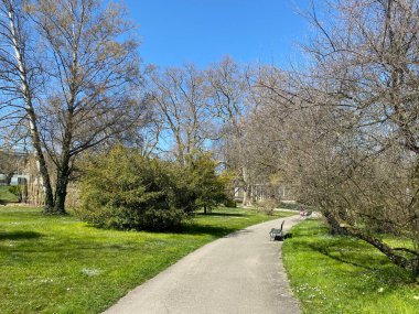 Cenevre Şehri Konservatuarı ve Botanik Bahçesi (Konservatuar et Jardin Botaniques de la Ville de Geneve) Konservatuvar und Botanischer Garten Chambesy, Genf - İsviçre (Suisse)