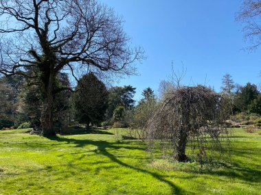 Cenevre Şehri Konservatuarı ve Botanik Bahçesi (Konservatuar et Jardin Botaniques de la Ville de Geneve) Konservatuvar und Botanischer Garten Chambesy, Genf - İsviçre (Suisse)