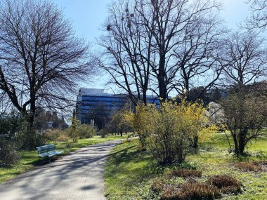 Cenevre Şehri Konservatuarı ve Botanik Bahçesi (Konservatuar et Jardin Botaniques de la Ville de Geneve) Konservatuvar und Botanischer Garten Chambesy, Genf - İsviçre (Suisse)