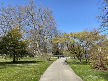 Cenevre Şehri Konservatuarı ve Botanik Bahçesi (Konservatuar et Jardin Botaniques de la Ville de Geneve) Konservatuvar und Botanischer Garten Chambesy, Genf - İsviçre (Suisse)
