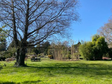 Cenevre Şehri Konservatuarı ve Botanik Bahçesi (Konservatuar et Jardin Botaniques de la Ville de Geneve) Konservatuvar und Botanischer Garten Chambesy, Genf - İsviçre (Suisse)