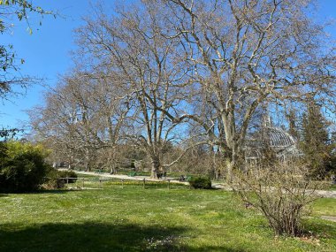 Cenevre Şehri Konservatuarı ve Botanik Bahçesi (Konservatuar et Jardin Botaniques de la Ville de Geneve) Konservatuvar und Botanischer Garten Chambesy, Genf - İsviçre (Suisse)