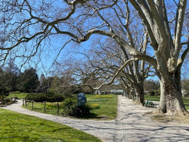Cenevre Şehri Konservatuarı ve Botanik Bahçesi (Konservatuar et Jardin Botaniques de la Ville de Geneve) Konservatuvar und Botanischer Garten Chambesy, Genf - İsviçre (Suisse)
