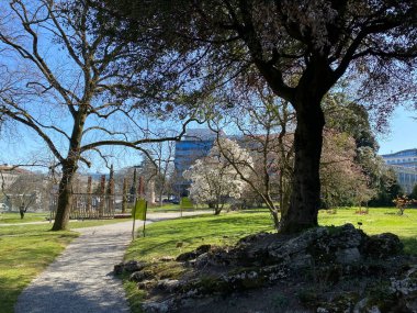 Cenevre Şehri Konservatuarı ve Botanik Bahçesi (Konservatuar et Jardin Botaniques de la Ville de Geneve) Konservatuvar und Botanischer Garten Chambesy, Genf - İsviçre (Suisse)