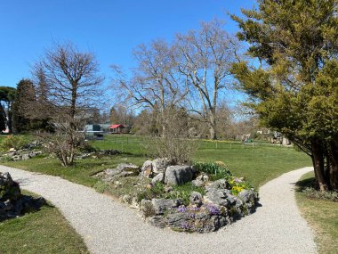 Cenevre Şehri Konservatuarı ve Botanik Bahçesi (Konservatuar et Jardin Botaniques de la Ville de Geneve) Konservatuvar und Botanischer Garten Chambesy, Genf - İsviçre (Suisse)