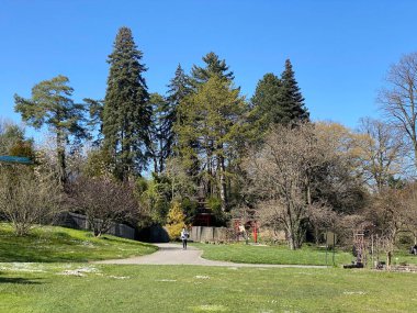 Cenevre Şehri Konservatuarı ve Botanik Bahçesi (Konservatuar et Jardin Botaniques de la Ville de Geneve) Konservatuvar und Botanischer Garten Chambesy, Genf - İsviçre (Suisse)