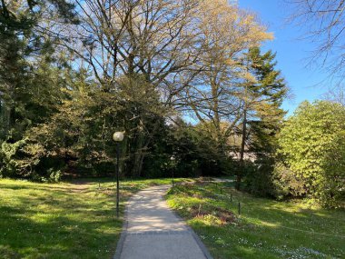 Cenevre Şehri Konservatuarı ve Botanik Bahçesi (Konservatuar et Jardin Botaniques de la Ville de Geneve) Konservatuvar und Botanischer Garten Chambesy, Genf - İsviçre (Suisse)