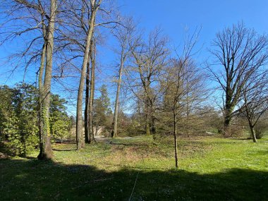 Cenevre Şehri Konservatuarı ve Botanik Bahçesi (Konservatuar et Jardin Botaniques de la Ville de Geneve) Konservatuvar und Botanischer Garten Chambesy, Genf - İsviçre (Suisse)