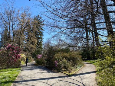 Cenevre Şehri Konservatuarı ve Botanik Bahçesi (Konservatuar et Jardin Botaniques de la Ville de Geneve) Konservatuvar und Botanischer Garten Chambesy, Genf - İsviçre (Suisse)