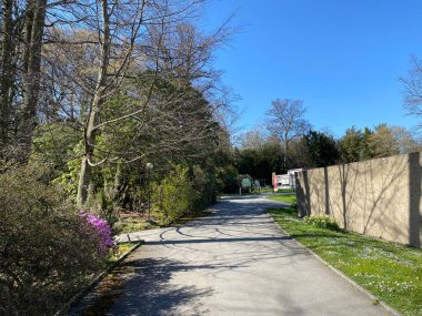 Cenevre Şehri Konservatuarı ve Botanik Bahçesi (Konservatuar et Jardin Botaniques de la Ville de Geneve) Konservatuvar und Botanischer Garten Chambesy, Genf - İsviçre (Suisse)