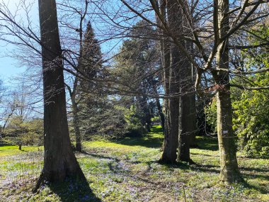 Cenevre Şehri Konservatuarı ve Botanik Bahçesi (Konservatuar et Jardin Botaniques de la Ville de Geneve) Konservatuvar und Botanischer Garten Chambesy, Genf - İsviçre (Suisse)