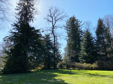 Cenevre Şehri Konservatuarı ve Botanik Bahçesi (Konservatuar et Jardin Botaniques de la Ville de Geneve) Konservatuvar und Botanischer Garten Chambesy, Genf - İsviçre (Suisse)