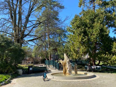 Cenevre Şehri Konservatuarı ve Botanik Bahçesi (Konservatuar et Jardin Botaniques de la Ville de Geneve) Konservatuvar und Botanischer Garten Chambesy, Genf - İsviçre (Suisse)