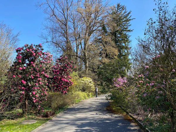 Conservatory and Botanical Garden of the City of Geneva (Conservatoire et Jardin Botaniques de la Ville de Geneve) Konservatorium und Botanischer Garten Chambesy, Genf - Switzerland (Suisse)