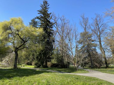 Cenevre Şehri Konservatuarı ve Botanik Bahçesi (Konservatuar et Jardin Botaniques de la Ville de Geneve) Konservatuvar und Botanischer Garten Chambesy, Genf - İsviçre (Suisse)