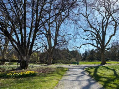Cenevre Şehri Konservatuarı ve Botanik Bahçesi (Konservatuar et Jardin Botaniques de la Ville de Geneve) Konservatuvar und Botanischer Garten Chambesy, Genf - İsviçre (Suisse)