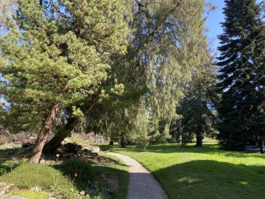 Cenevre şehrinin botanik bahçesi (Konservatuar et Jardin botaniques de la Ville de Geneve) - İsviçre (Suisse)