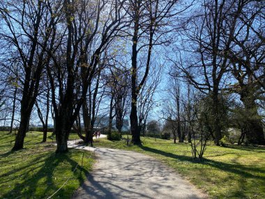Cenevre şehrinin botanik bahçesi (Konservatuar et Jardin botaniques de la Ville de Geneve) - İsviçre (Suisse)