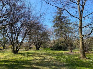 Cenevre şehrinin botanik bahçesi (Konservatuar et Jardin botaniques de la Ville de Geneve) - İsviçre (Suisse)