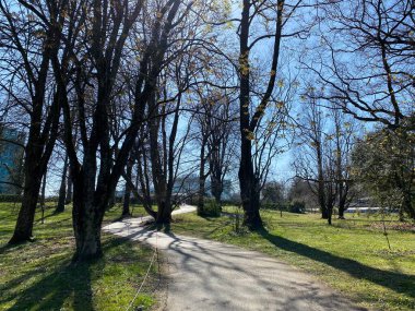 Cenevre şehrinin botanik bahçesi (Konservatuar et Jardin botaniques de la Ville de Geneve) - İsviçre (Suisse)