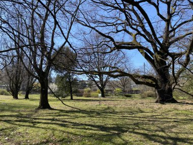Cenevre şehrinin botanik bahçesi (Konservatuar et Jardin botaniques de la Ville de Geneve) - İsviçre (Suisse)