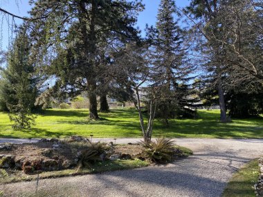 Cenevre şehrinin botanik bahçesi (Konservatuar et Jardin botaniques de la Ville de Geneve) - İsviçre (Suisse)