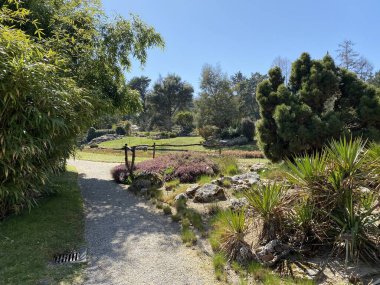 Taş ya da Rocailles, Cenevre Şehri Konservatuarı ve Botanik Bahçesi (Konservatuar et Jardin botaniques de la Ville de Geneve) - İsviçre (Suisse))