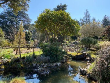 Taş ya da Rocailles, Cenevre Şehri Konservatuarı ve Botanik Bahçesi (Konservatuar et Jardin botaniques de la Ville de Geneve) - İsviçre (Suisse))