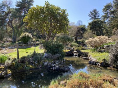 Taş ya da Rocailles, Cenevre Şehri Konservatuarı ve Botanik Bahçesi (Konservatuar et Jardin botaniques de la Ville de Geneve) - İsviçre (Suisse))