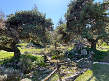 Taş ya da Rocailles, Cenevre Şehri Konservatuarı ve Botanik Bahçesi (Konservatuar et Jardin botaniques de la Ville de Geneve) - İsviçre (Suisse))