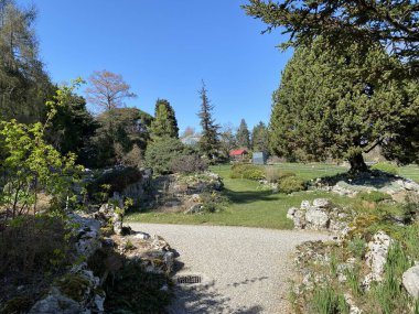 Taş ya da Rocailles, Cenevre Şehri Konservatuarı ve Botanik Bahçesi (Konservatuar et Jardin botaniques de la Ville de Geneve) - İsviçre (Suisse))