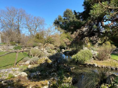 Taş ya da Rocailles, Cenevre Şehri Konservatuarı ve Botanik Bahçesi (Konservatuar et Jardin botaniques de la Ville de Geneve) - İsviçre (Suisse))