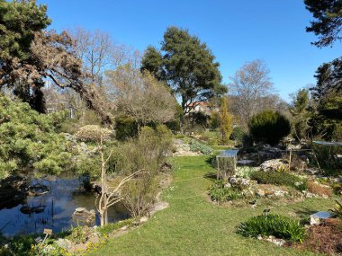 Taş ya da Rocailles, Cenevre Şehri Konservatuarı ve Botanik Bahçesi (Konservatuar et Jardin botaniques de la Ville de Geneve) - İsviçre (Suisse))