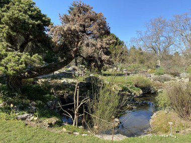 Taş ya da Rocailles, Cenevre Şehri Konservatuarı ve Botanik Bahçesi (Konservatuar et Jardin botaniques de la Ville de Geneve) - İsviçre (Suisse))
