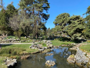 Taş ya da Rocailles, Cenevre Şehri Konservatuarı ve Botanik Bahçesi (Konservatuar et Jardin botaniques de la Ville de Geneve) - İsviçre (Suisse))