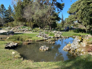 Taş ya da Rocailles, Cenevre Şehri Konservatuarı ve Botanik Bahçesi (Konservatuar et Jardin botaniques de la Ville de Geneve) - İsviçre (Suisse))