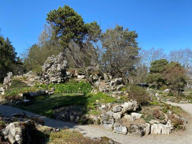 Taş ya da Rocailles, Cenevre Şehri Konservatuarı ve Botanik Bahçesi (Konservatuar et Jardin botaniques de la Ville de Geneve) - İsviçre (Suisse))