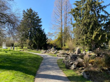 Taş ya da Rocailles, Cenevre Şehri Konservatuarı ve Botanik Bahçesi (Konservatuar et Jardin botaniques de la Ville de Geneve) - İsviçre (Suisse))