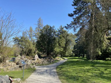 Taş ya da Rocailles, Cenevre Şehri Konservatuarı ve Botanik Bahçesi (Konservatuar et Jardin botaniques de la Ville de Geneve) - İsviçre (Suisse))
